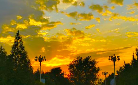 迷人的傍晚作文