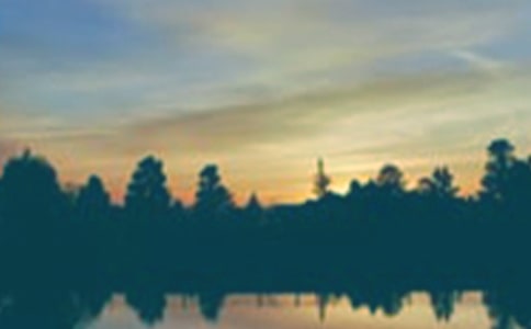 �P(gu��n)�ڰ���������