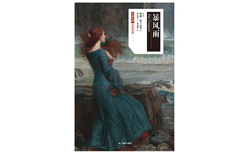 (薦)暴風(fēng)雨作文15篇