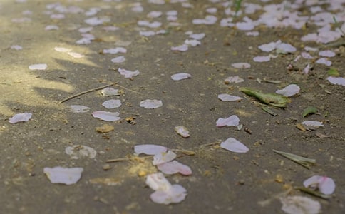 �±������ģ�ͨ��41ƪ��