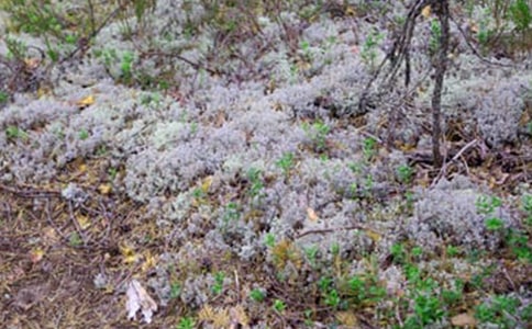 ̫�����������