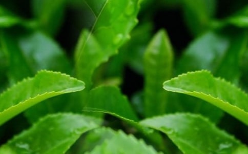 ժ���~�����\����3ƪ��