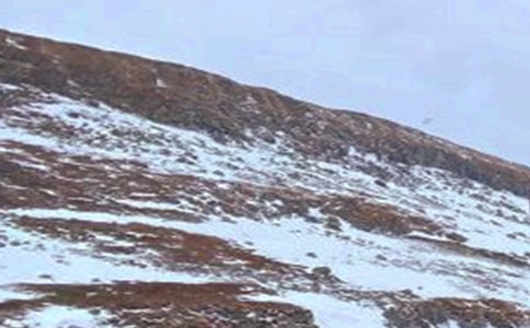 長(zhǎng)白山之行作文