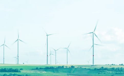 吹來一縷春風(fēng)作文6篇【薦】