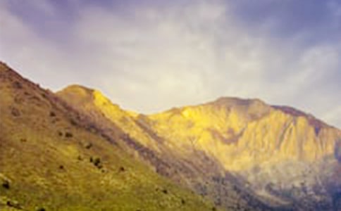 �����Ĵ�ɽ���ĺϼ�15ƪ