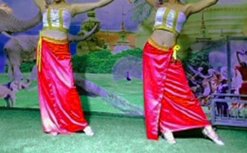 關(guān)于傣族作文