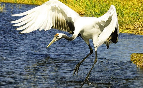 �������ĵ���Q���̌W(xu��)���