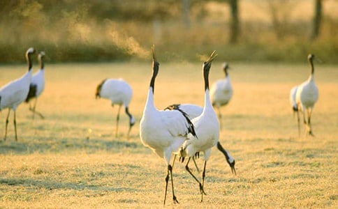 ����Q����