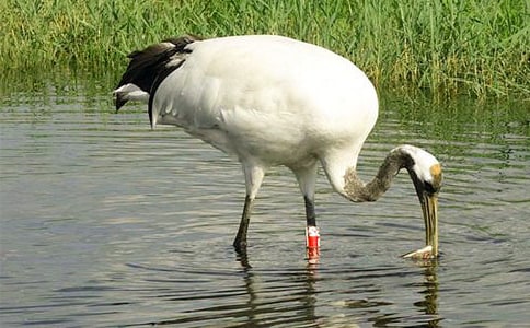 ����Q����11ƪ����(y��u)�㡿