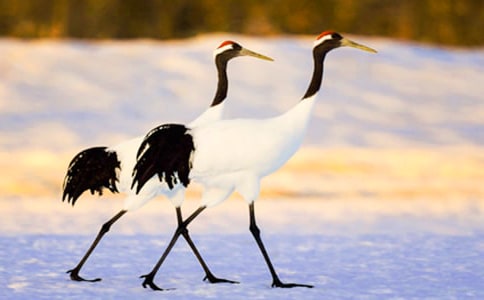 �������ĵ���Q���n��̌W(xu��)��˼