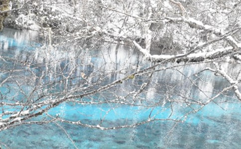 �c������Մ������