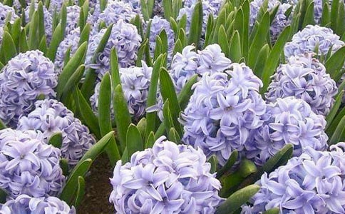 �L(f��ng)�������ĺϼ���15ƪ��