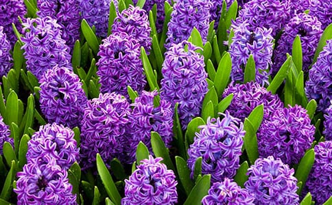 �L(f��ng)�����_��������