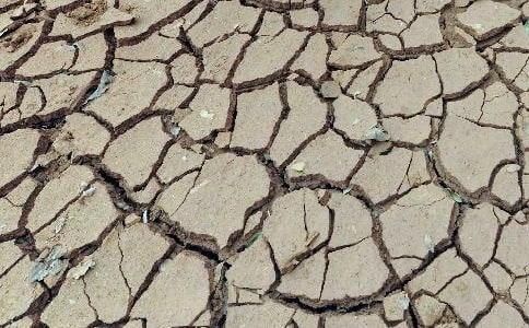 西南干旱的感想800字作文