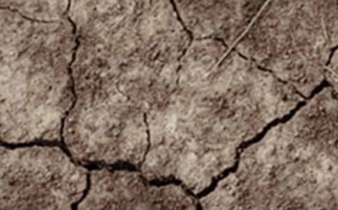 �����ֹ��Į���͸ɺ��գ����o(h��)��(sh��)ľ���h��(sh��)