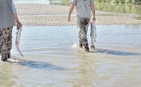 �ҵĺø炃����[��(j��ng)��10ƪ]