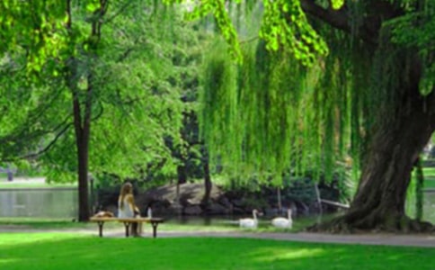 小學(xué)生的看圖寫話:公園