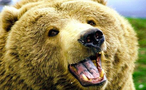 �������ĵĹ��ܡ��x���