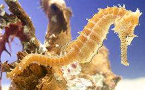 �Ժ��R��ô��ʲô����