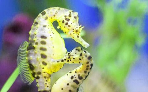 �����R��(j��ng)�N��ͬ����