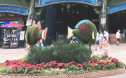 ����ȥ�K÷�u��ͨ��(gu��)�Һ��󹫈@��ʲô�����