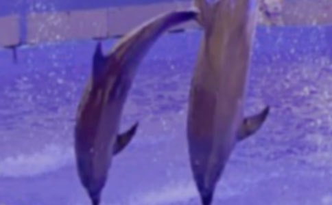 �x���{(l��n)ɫ�ĺ����u���и�600�֣����x48ƪ��