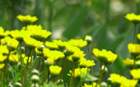 �����x����ِ����(�؂�)