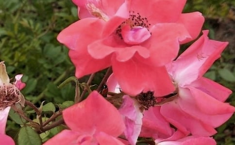 �_(k��i)��ӛ����̎�Ļ���