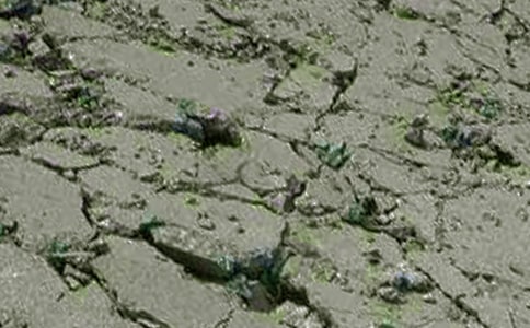 ������������(sh��)��(x��)��ӛ����