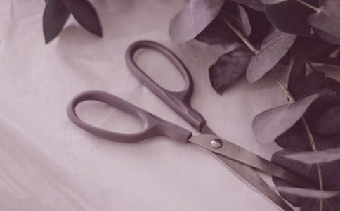 ĥ�������^����