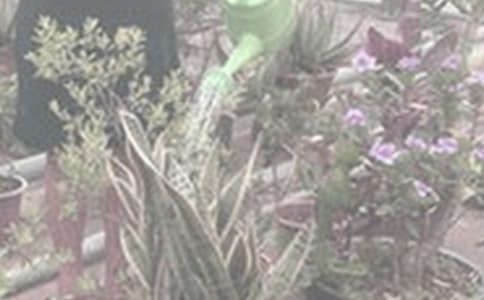 �������꼉(j��)����4ƪ