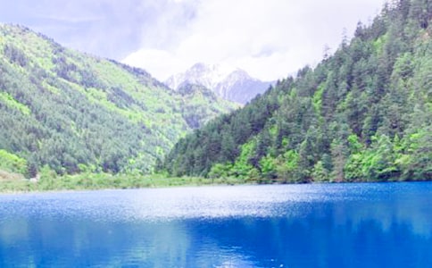 ���ξ�կ������