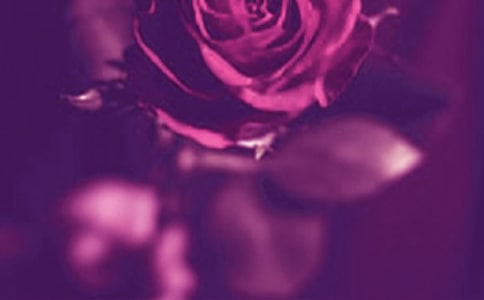 �@�G�˺ܾõ������^���İ�330��