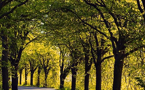 ���a���ϵ���ʹ_500��