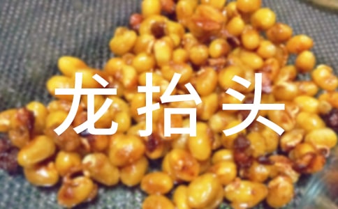 二月二龍?zhí)ь^作文(通用29篇)