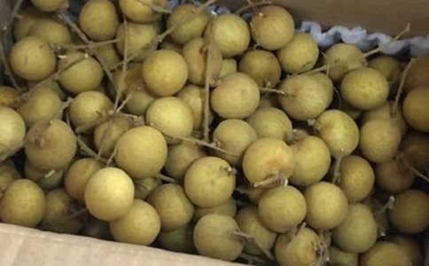 ���ۘ�����9ƪ