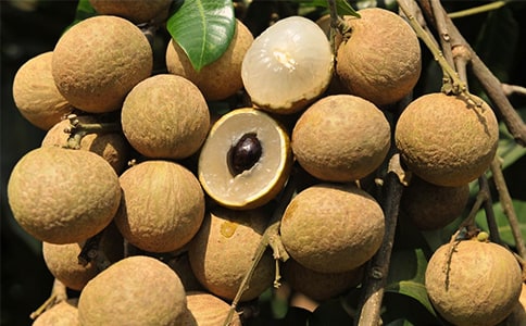 ���ۘ�(sh��)������300��4ƪ