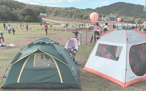 ¶�I����300�֣����x20ƪ��