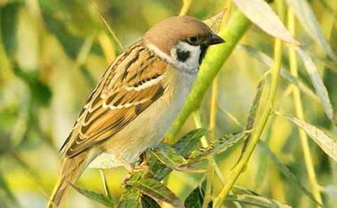 [��(y��u)�x]С��ȸ����