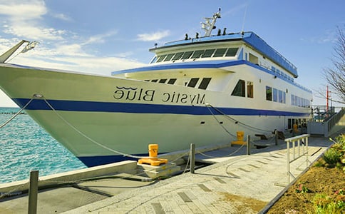 �����δ��a�^���湥��