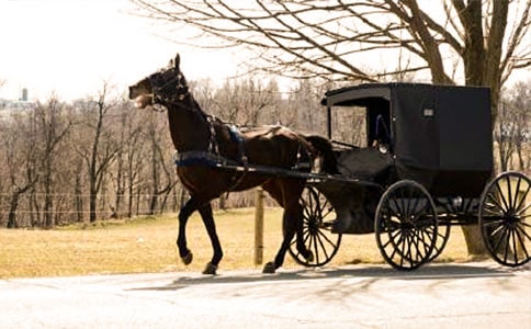 �Ŵ��R܇������ʲô�ӵ� �����R܇��һ���ܶ���