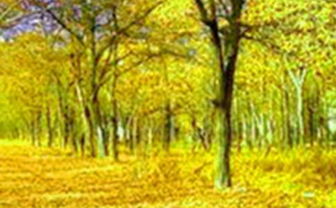 鄉(xiāng)村美景作文【精選】