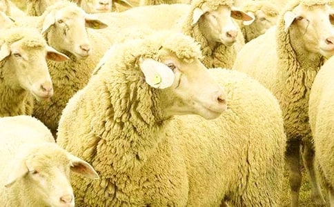 �d���׷��ͯԒ����