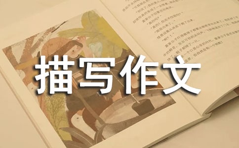 ���������茑����