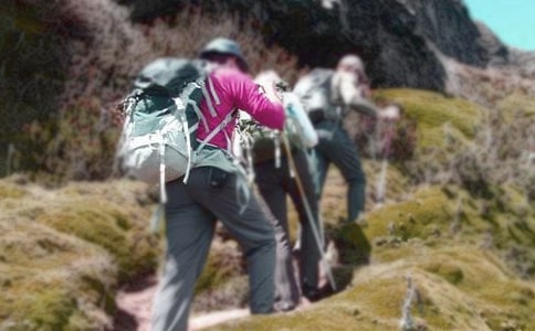 ����������ɽ������ʹ����