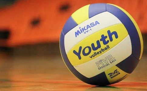 打排球作文15篇(經(jīng)典)