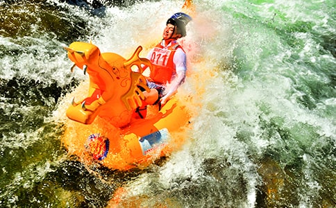 (���T(m��n))������Ư������9ƪ