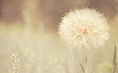 ���Sɫ���ѹ�Ӣ�Ĺ���