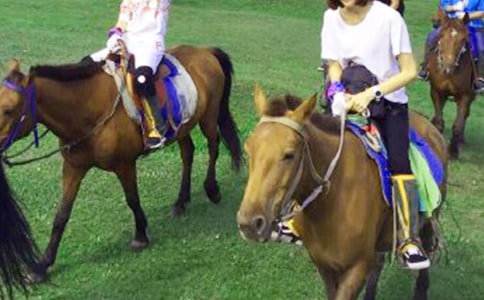 精選騎馬作文錦集七篇