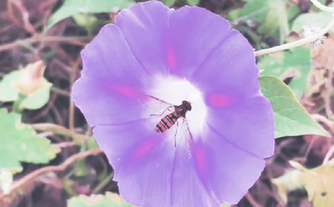 [���T]�����͠������n��˼3ƪ